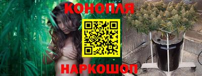 индика Свободный