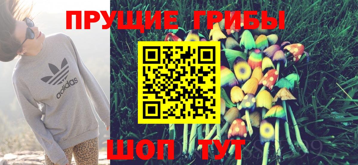Петрозаводск  Галлюциногенные грибы Psilocybe  Вход с VPN 
