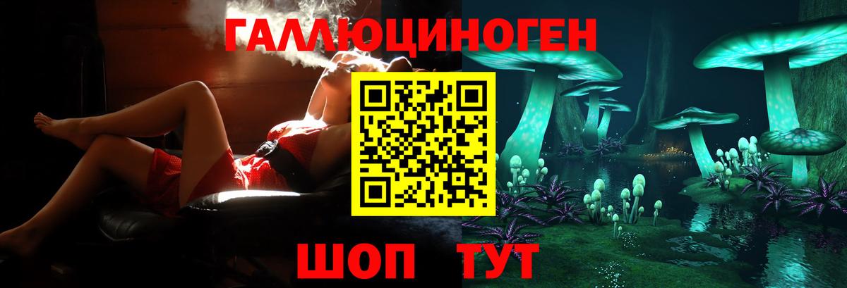 Галлюциногенные грибы Psilocybe Петрозаводск