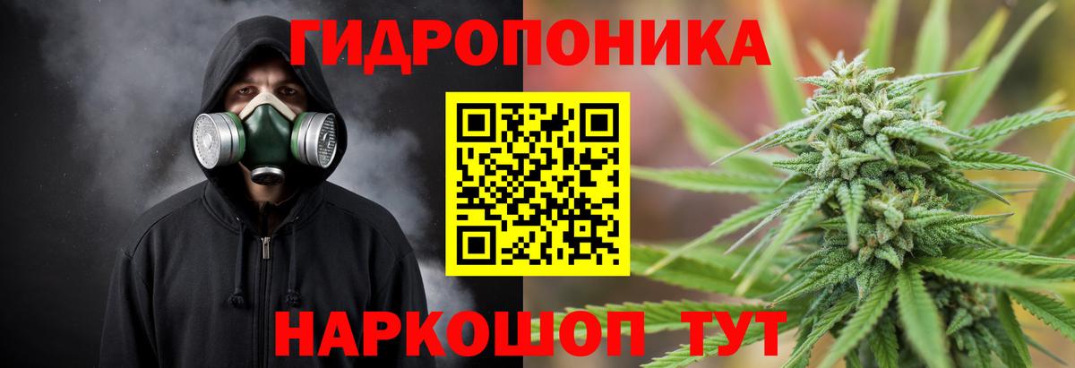 Конопля планчик  Каннабис Amnesia  Каннабис White Widow  Марихуана MAZAR  Петрозаводск  Вход с VPN 